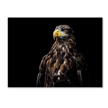 Trademark Fine Art Christian Lechtenfeld 'Ego' Canvas Art, 14x19 1X00845-C1419GG